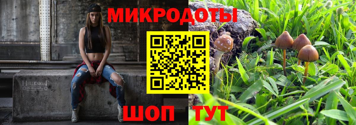Псилоцибиновые грибы ЛСД Саратов