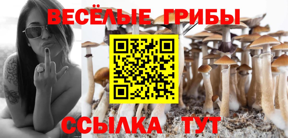 Псилоцибиновые грибы Magic Shrooms  Вход с VPN  Саратов 