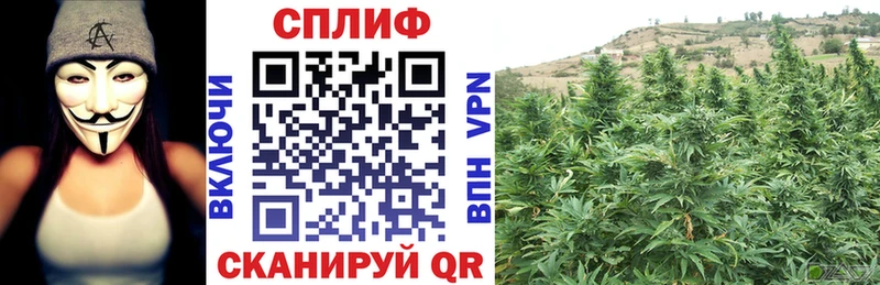 Бошки марихуана White Widow Саратов